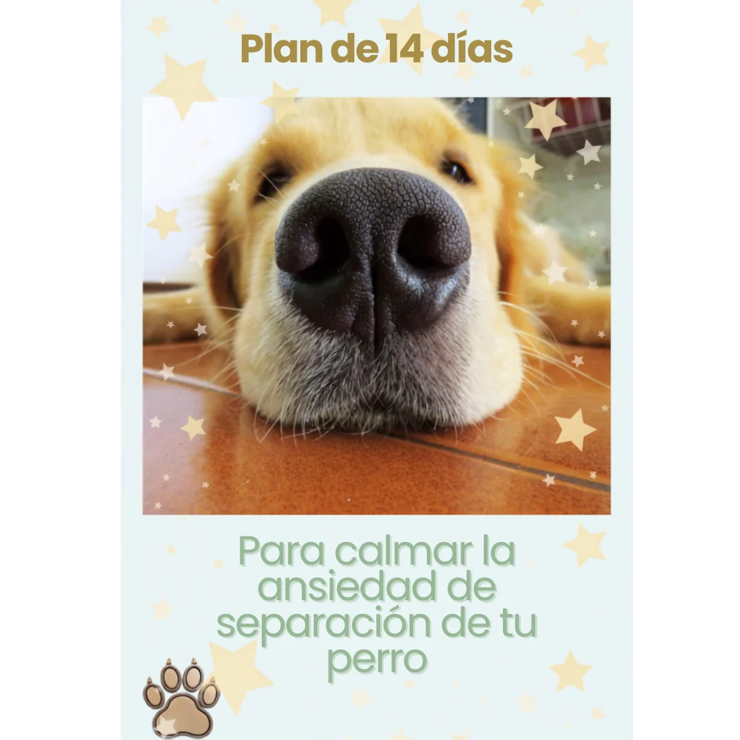 Portada del Plan de 14 días para calmar la ansiedad de separación de tu perro